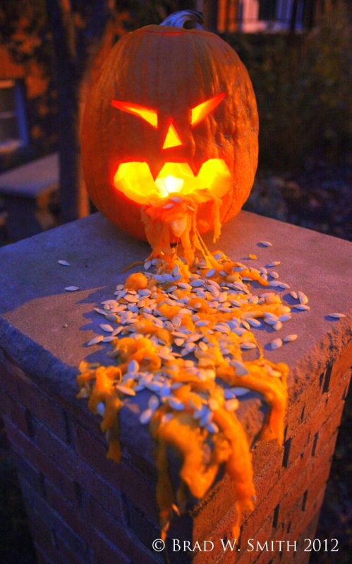 You Talkin' to Me? Brad W. Smith photographer, LifeIsHOTBlog, carved, lighted pumpkin on brick pillar with copious seeds and stringy pulp